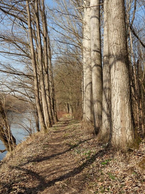 Donnersdorf hoch (7)