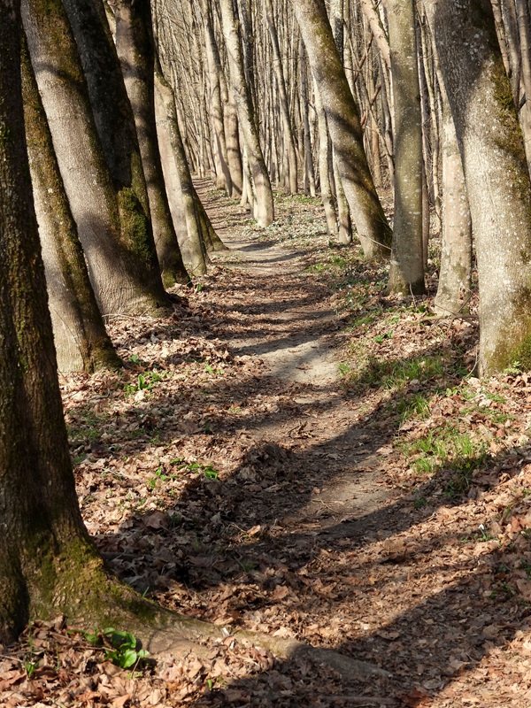 Donnersdorf hoch (8)