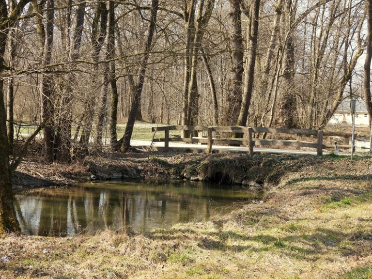 Donnersdorf quer (25)