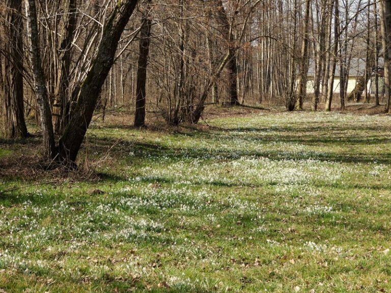Donnersdorf quer (26)