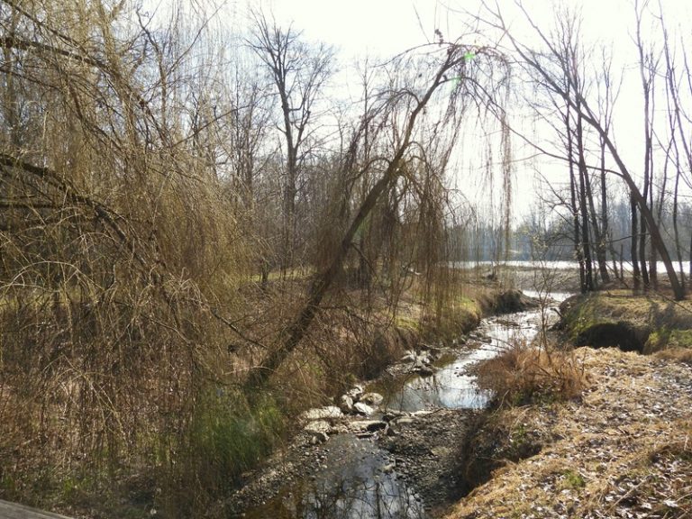 Donnersdorf quer (28)