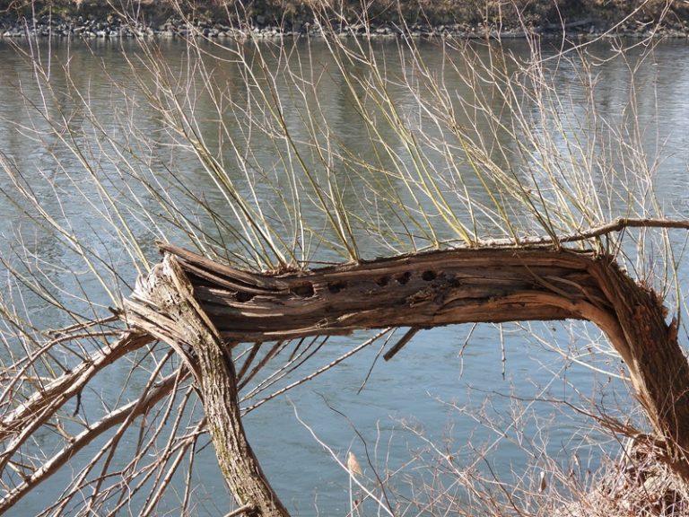Donnersdorf quer (31)