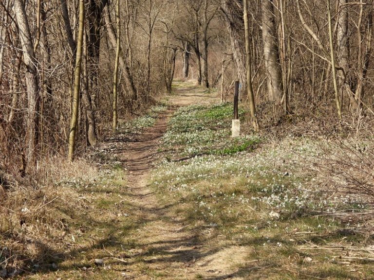 Donnersdorf quer (32)