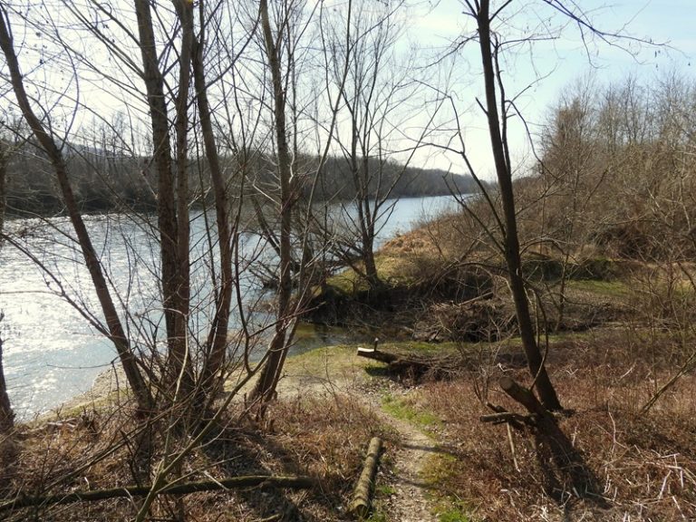 Donnersdorf quer (34)