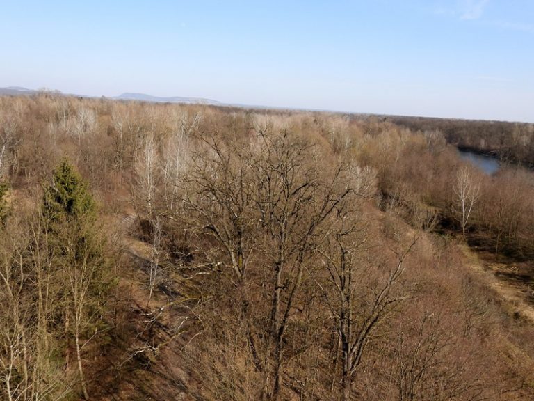 Donnersdorf quer (35)