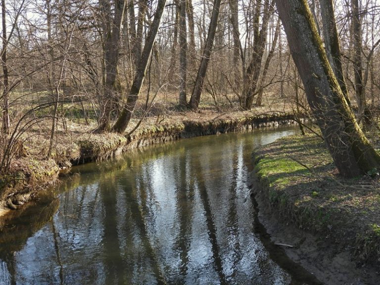 Donnersdorf quer (45)