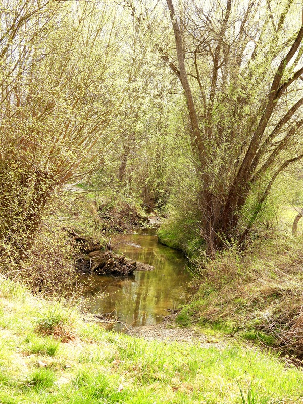 Fernitz hoch (6)