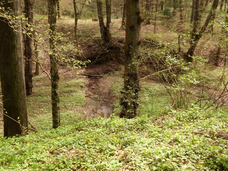 Fernitz quer (27)