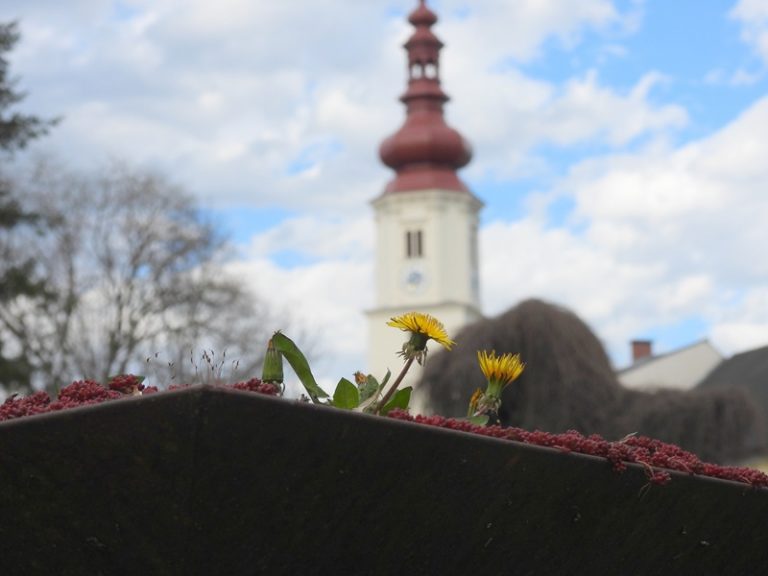 Fernitz quer (3)