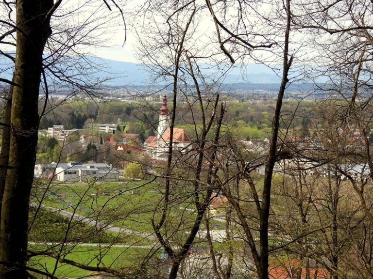 Fernitz quer (30)