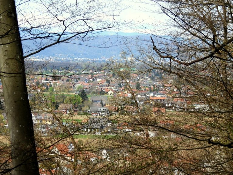Fernitz quer (31)