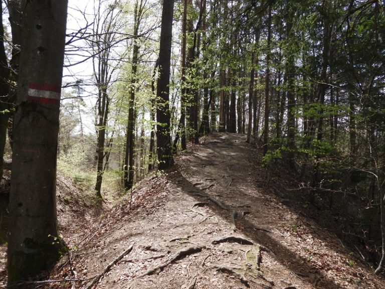 Fernitz quer (34)