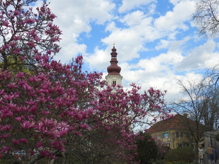Fernitz quer (4)