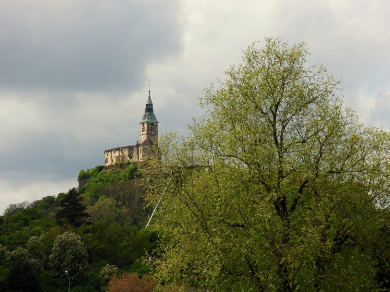 Güssing quer (38)