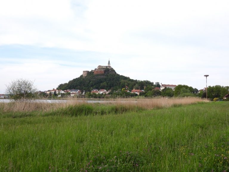 Güssing quer (9)