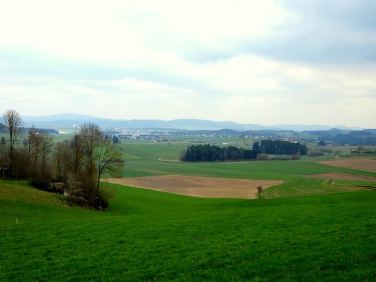 Heidenstein quer (5)