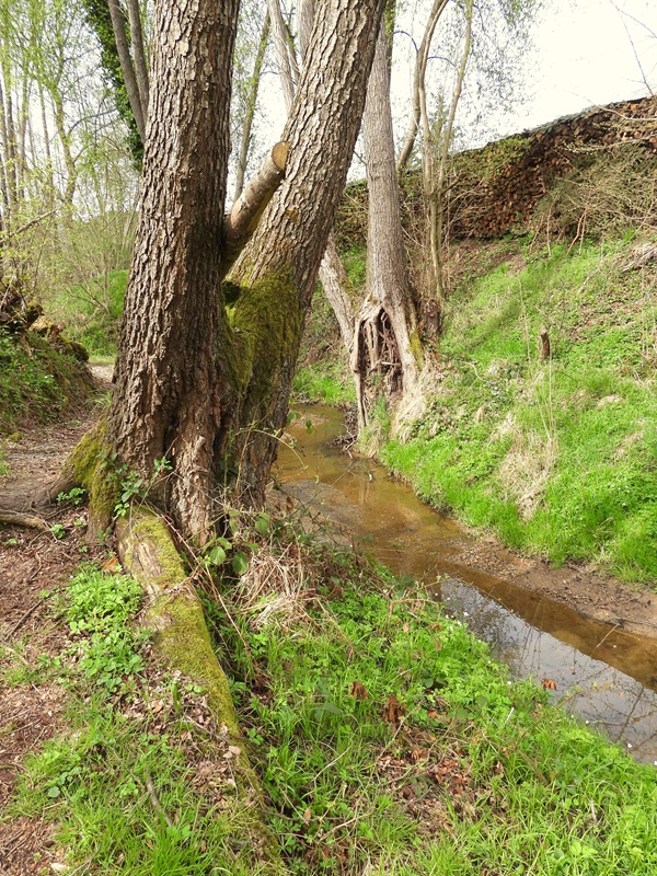 Mühlgraben hoch (13)
