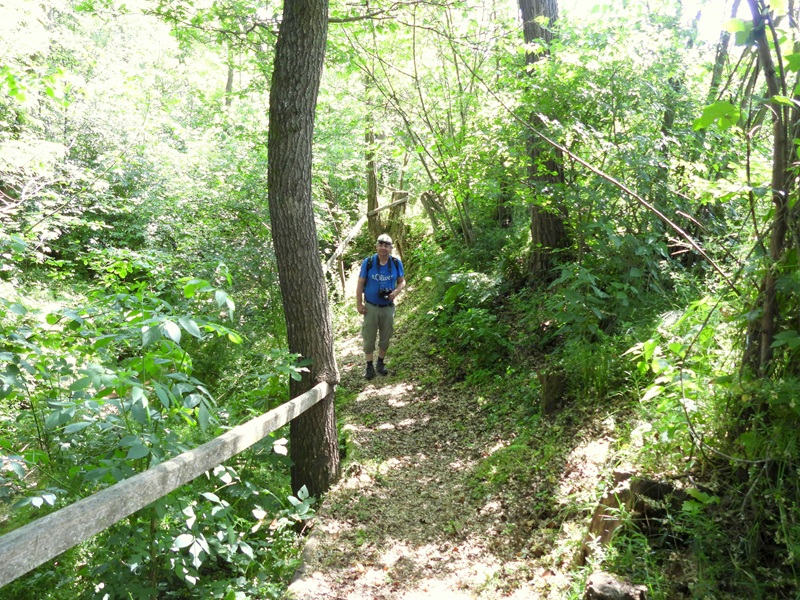 Mühlgraben quer (36)