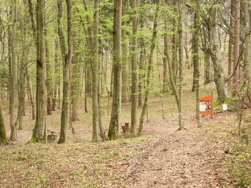 Mühlgraben quer (41)