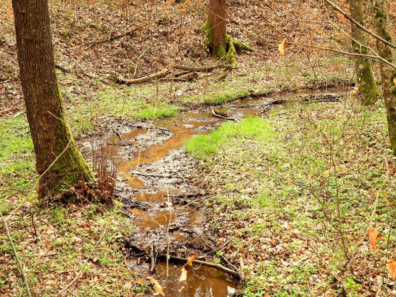 Mühlgraben quer (43)