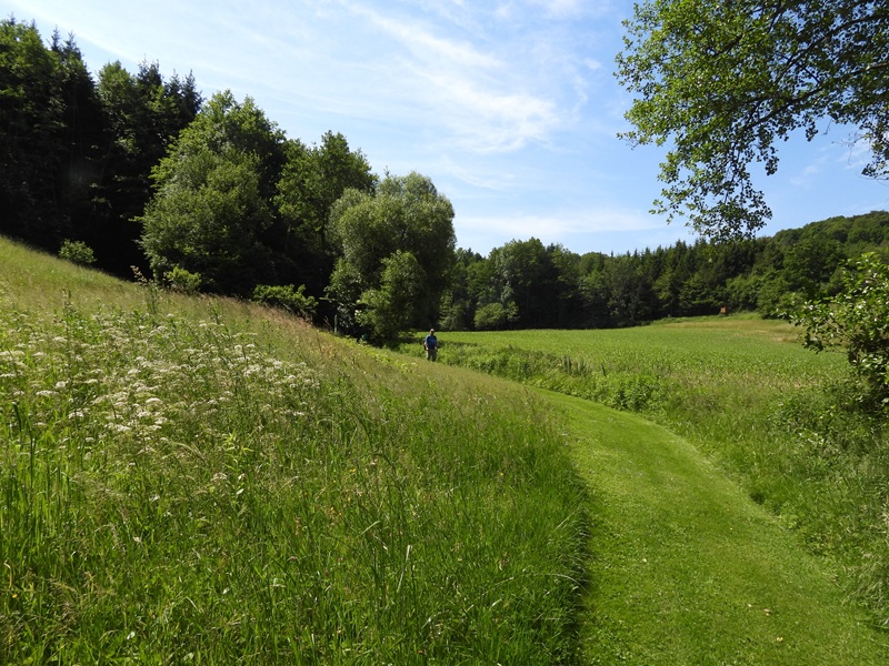 Mühlgraben quer (6)