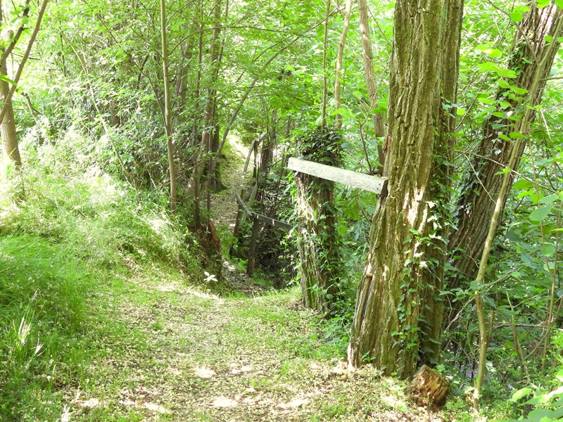 Mühlgraben quer (8)