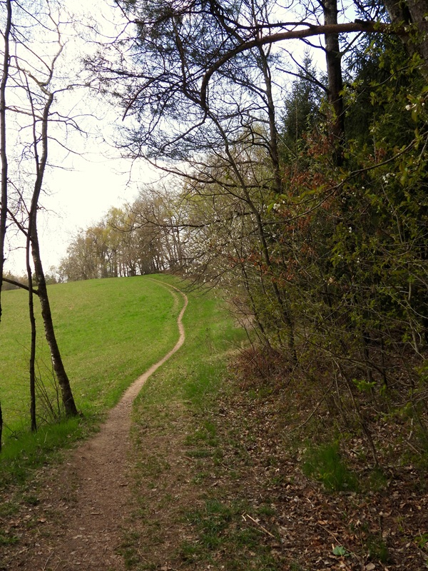 Thurytal hoch (1)