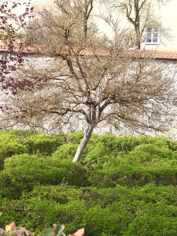 Thurytal hoch (18)