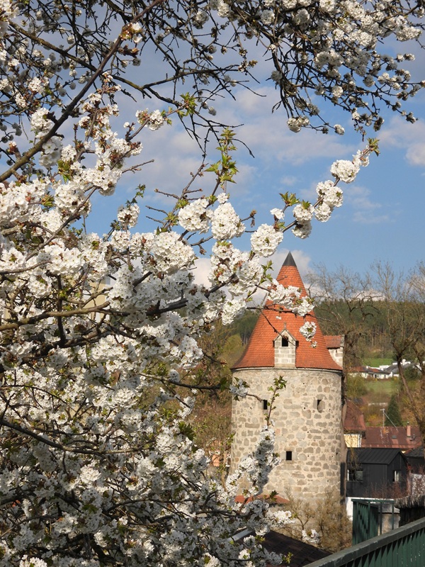 Thurytal hoch (19)