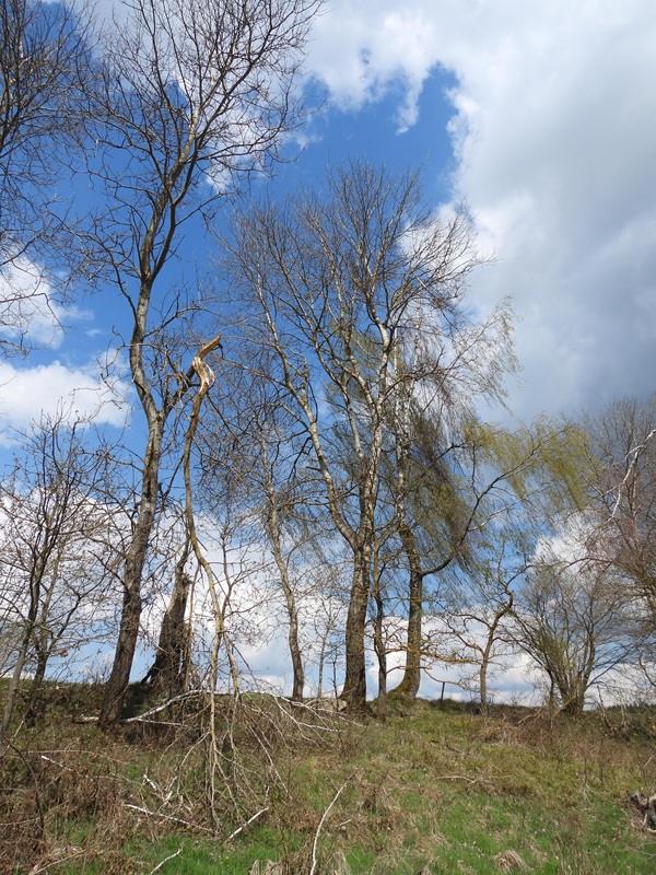 Thurytal hoch (2)