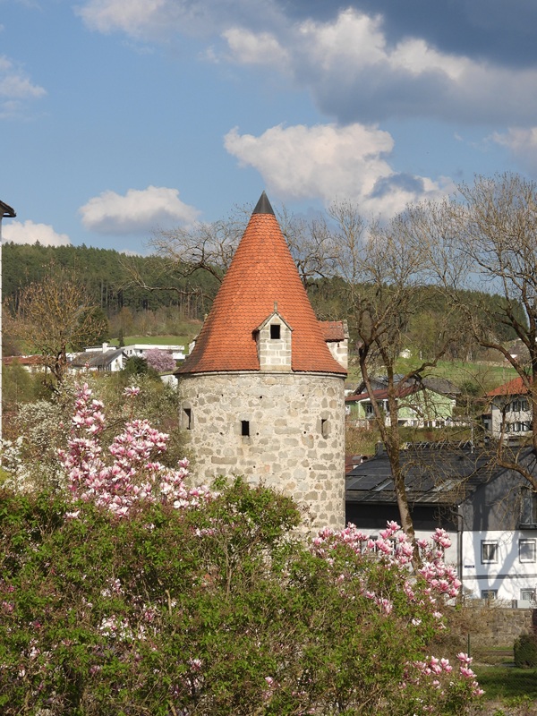 Thurytal hoch (20)