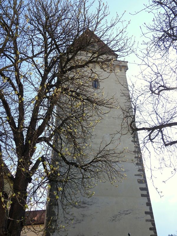 Thurytal hoch (27)