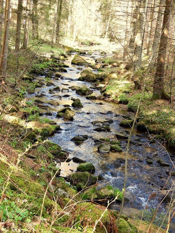 Thurytal hoch (34)