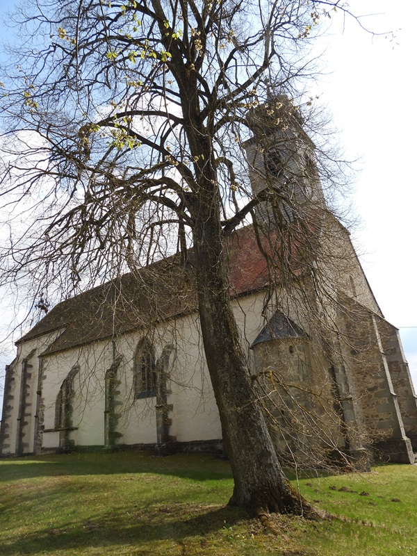 Thurytal hoch (5)