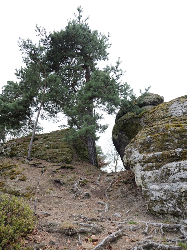 heidenstein hoch (1)