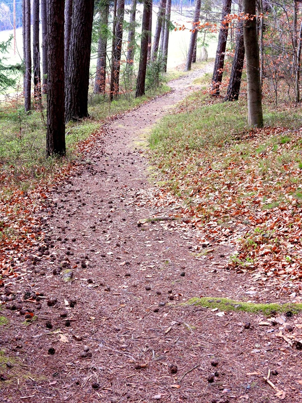 heidenstein hoch (8)