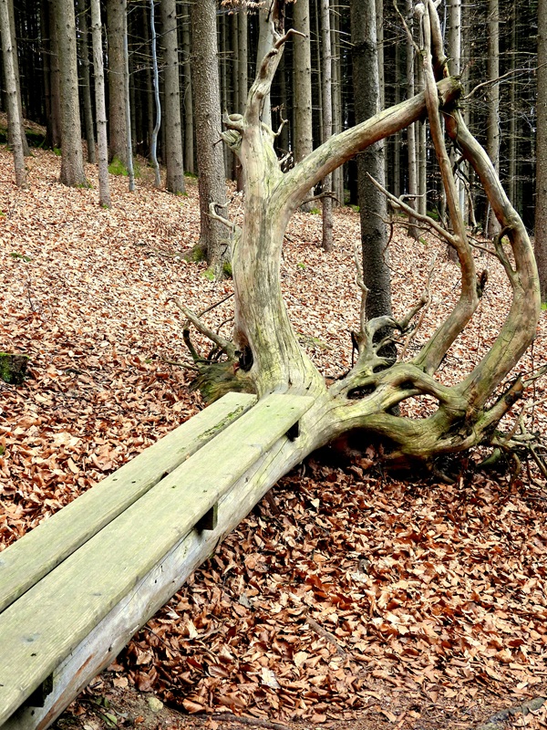 heidenstein hoch (9)