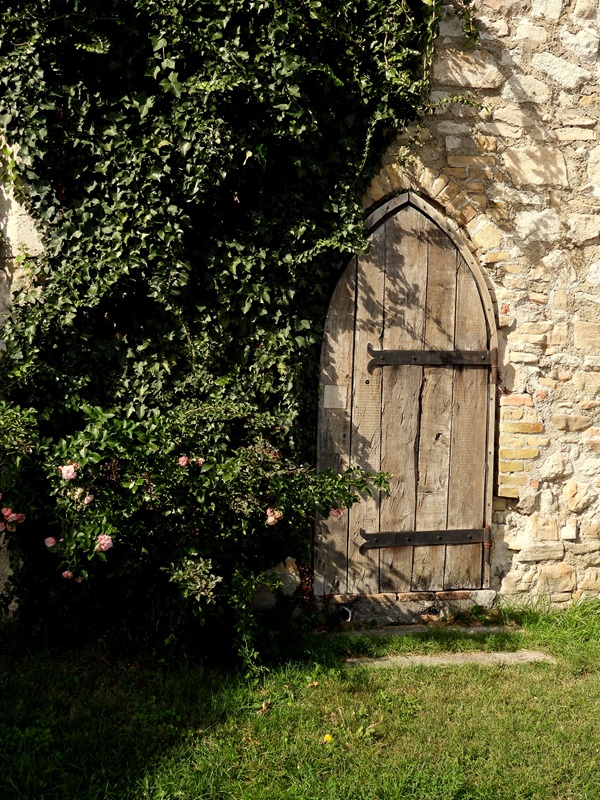 Hainburg Burgberg (12)