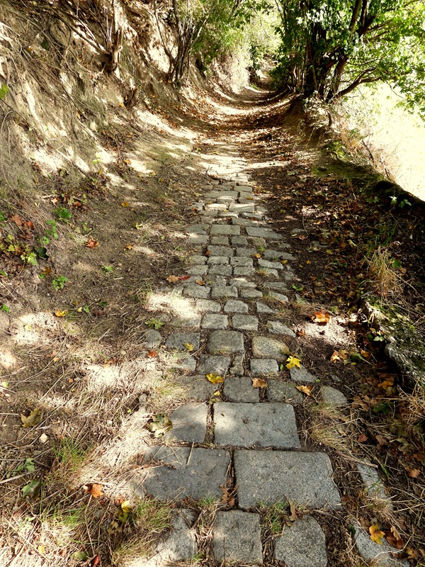 Hainburg Burgberg (13)