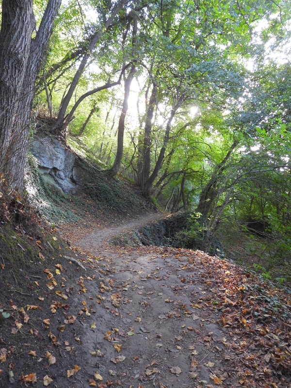 Hainburg Burgberg (15)