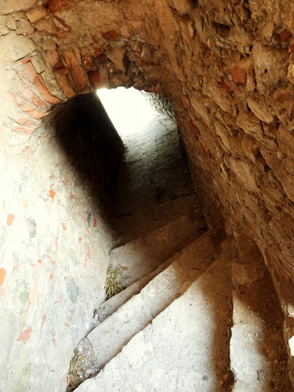 Hainburg Burgberg (9)