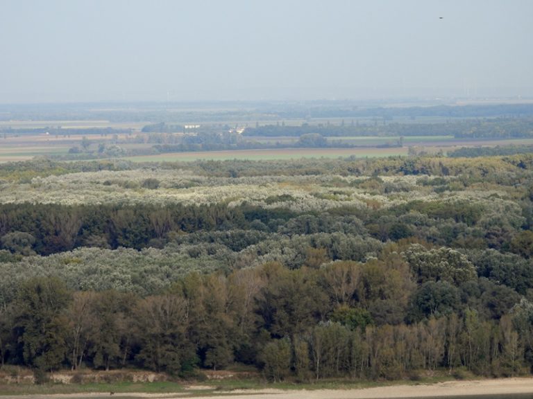 Hainburg burgberg quer (14)