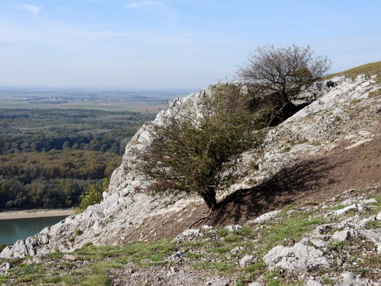 Hainburg burgberg quer (3)