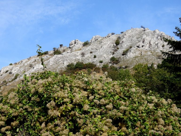 Hainburg burgberg quer (39)