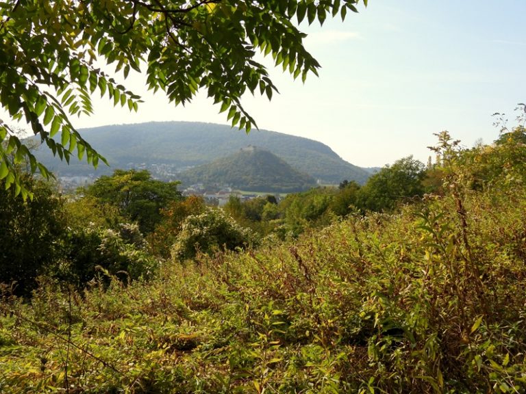 Hainburg burgberg quer (43)