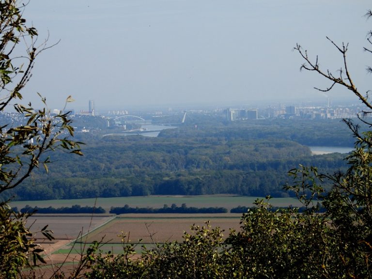 Hainburg burgberg quer (44)