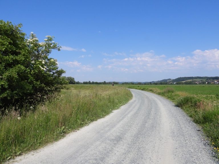 Hohenbrugg quer (18)