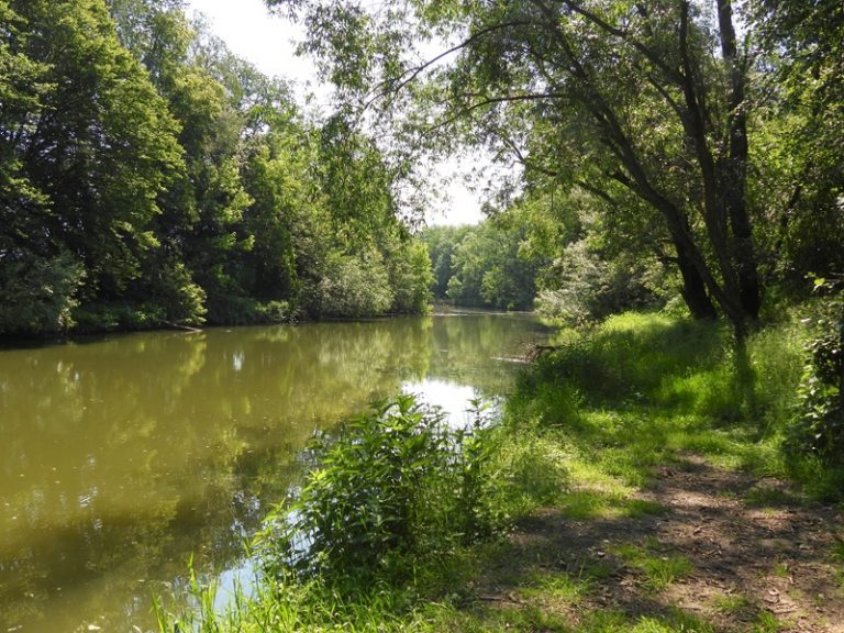 Hohenbrugg quer (21)
