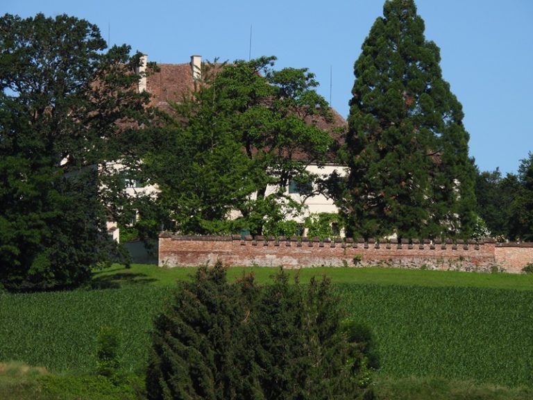 Hohenbrugg quer (22)