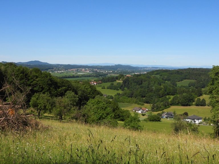 Hohenbrugg quer (26)